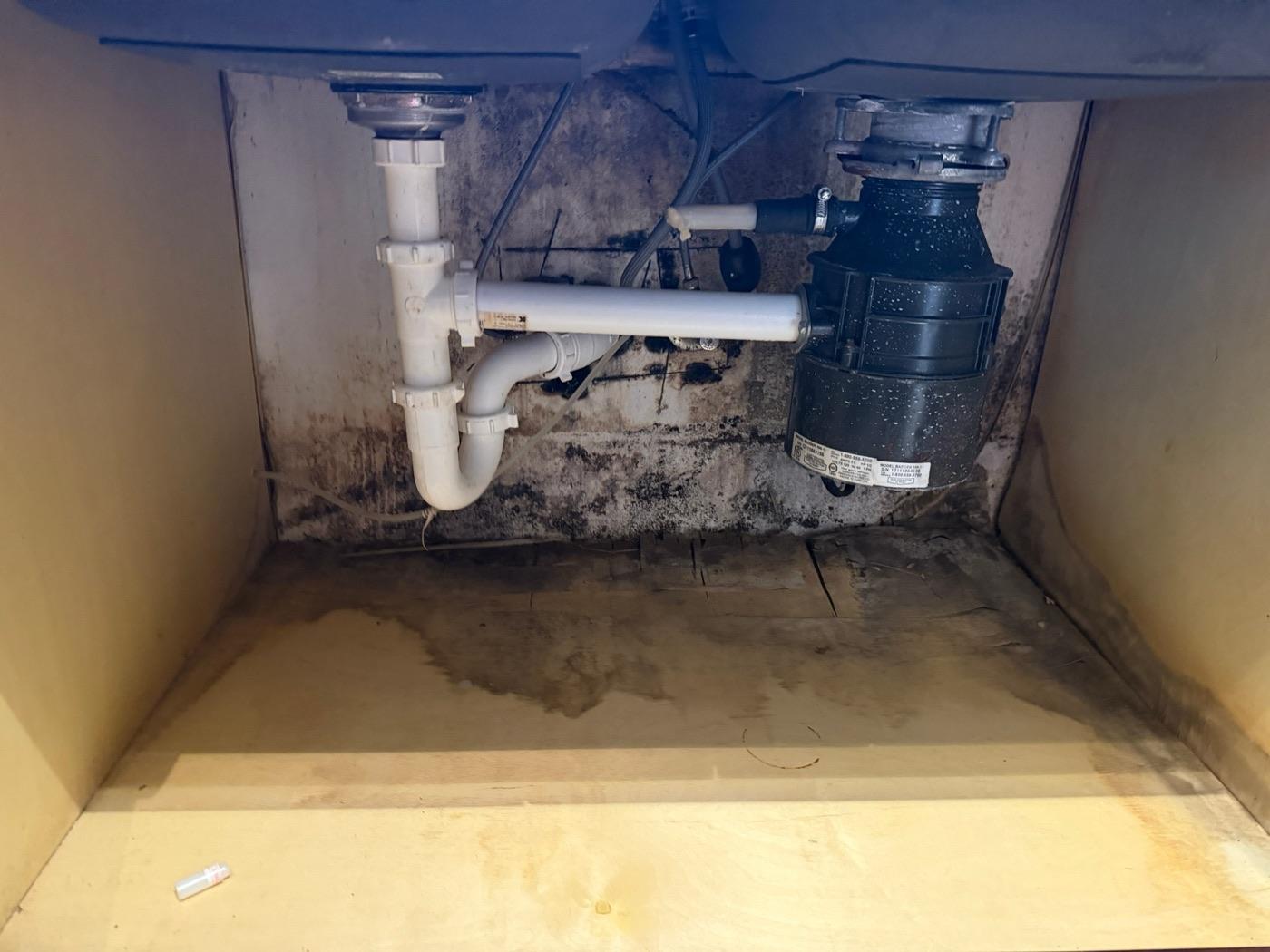 Under-sink cabinet in a Winter Park kitchen with black mold and water stains around the drain and disposal